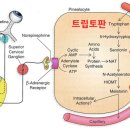 새천년건강약국 이미지