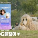 제일기획 이미지