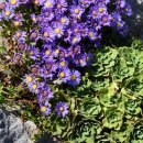 슬도주차장 이미지