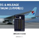 스카이플래티늄항공 이미지