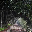 가배항2 이미지