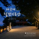 184 | 부산 해운대 달맞이길 야경 산책 후기, 밤에 걸으니 더 좋았던 힐링 코스