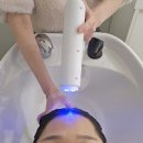 군포동물약국 | [군포 금정 산본] 도노포레스타 두피케어 산본점 두피 진단 케어 탈모 맞춤 관리