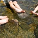 비발디 캠핑파크 이미지