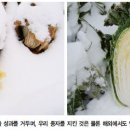 청남시장 이미지