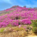 영취산 티스토리