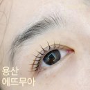 용산ㅣ신용산 : 에뜨무아 영양가득 실크케라틴펌 속눈썹펌 후기