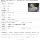 디아크동물병원 이미지