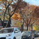 더크루아상마켓 이미지