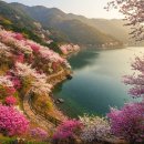약초향기 민박 이미지