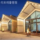 리포레풀램핑 이미지