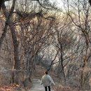 일출상사 이미지