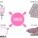 발효의 책 66 미생물을 사용하여 건강에 도움을 주는 제조 이미지