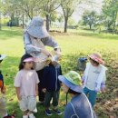 푸른금산어린이집 이미지