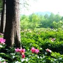 바짝 쫄은 이천공... 이재명에게 대통령 기운이!?ㅋ, 사실상 '살려주세요!!', 계엄령 맞춘 김민석의 예언... 개장사의 단일화는 ' 이미지