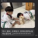 용인대 태권마루 태권도장 이미지