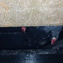 김해공항주유소 이미지