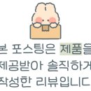 채플린안경콘택트송천점 이미지