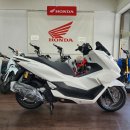 2026년(혼다코리아) PCX125 ABS 화이트 신차 선착순 할인 프로모션 진행중 이미지