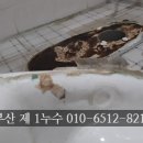 정심전기조명