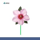최치원아트 이미지