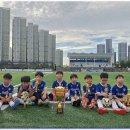 함께 뛰노는 스포츠 이미지