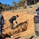 강남퍼스트성형외과의원 이미지