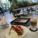 로이로스터스(LOYH ROASTERS)