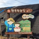 행복한 딸기농장 이미지