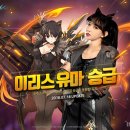 이리스 이미지