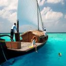 말리비치 이미지