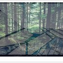 구불1길(비단강길) | 군산시, 구불1길과 비단강길 탐험: 자연의 아름다움
