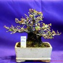 청수6로 이미지