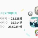 행복펫메이트 이미지