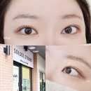 평택 고덕 속눈썹펌 후기 어반그로브몰 솔솔 스튜디오 블랙틴팅펌 솔직 리뷰