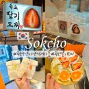 주)중앙로 중앙점 현대자동차 | 속초중앙시장 먹거리 포장 속초딸기모찌 선물용 간식으로 추천