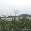 산양일주로 이미지