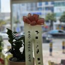 테레사플라워&커피