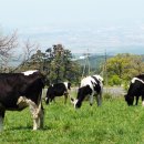 호키소프트 이미지