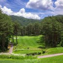 대관령산업(주)