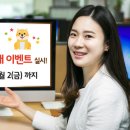 오시개 매일경제