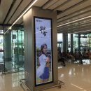 SKY31김포 FOOD AVENUE EMOI | 2박3일 첫 출장, 제주에서 서울까지