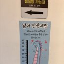 킹덤펫 | 서울 워터파크 송파 하비오 워터 킹덤 솔직후기 [내돈내산]