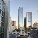 동부환경공원 | 🇺🇸신혼여행기: 조슈아 트리 국립공원 마이리얼트립 투어 후기