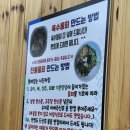 울릉도회오징어 | 울릉도 오징어회맛집 울릉어민회식당 오징어물회 후기