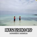 또오자 | 초등아이들과 제주도 당일치기여행 버스로 다녀온 김녕해수욕장 후기
