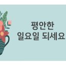 선프라자약국 이미지