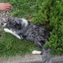 티파니 무인호텔 이미지