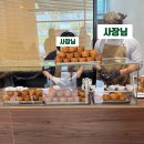 송정한의원 | ☕ 송정 에그타르트 맛집 🌿 OVEG 송정점 솔직후기 (내돈내산)