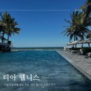 인샾노래연습장 | < 티아 웰니스 > 다낭 자유여행 숙소 추천, 내 돈 내산 다낭 숙소 추천, 티아 웰니스 수영장 후기 2